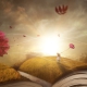 Boek fantasy