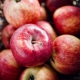appel